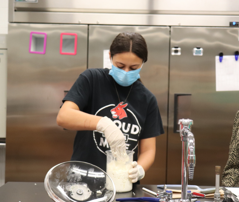 Honors Student making Cheese Image of an Honors College student in a lab making cheese.