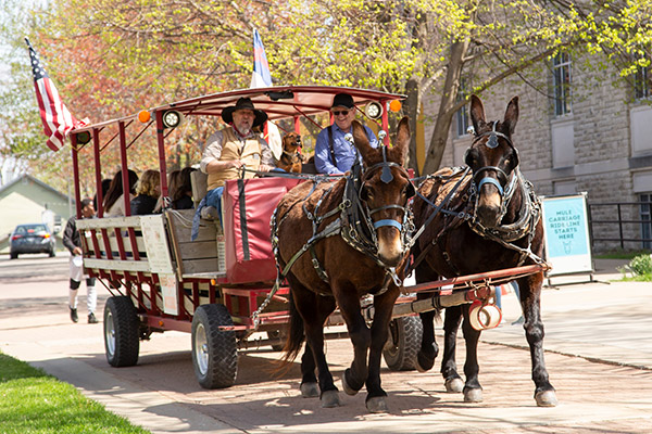 Mules pulling a wagon with people riding on the back.