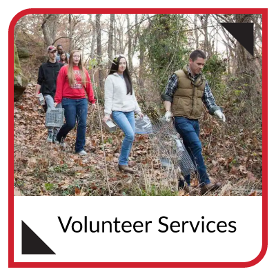 Volunteer Services