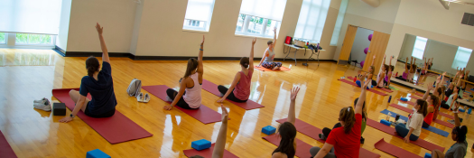 yoga class with people doing poses