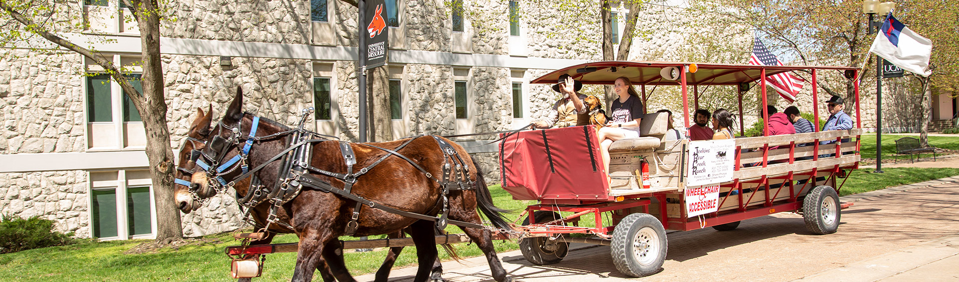 Mules pulling a wagon with people