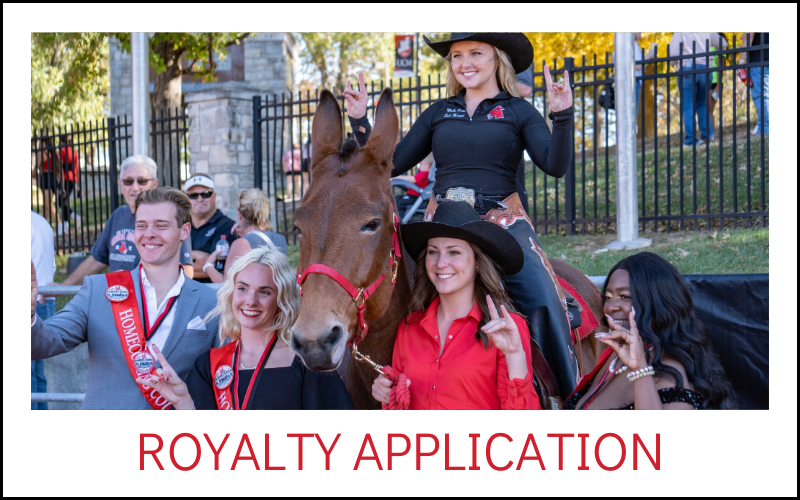 Button for Royalty Application with 2023 court