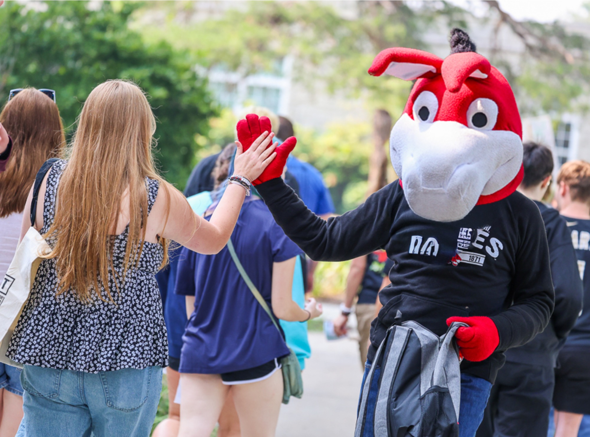 students meeting with the mules mascot