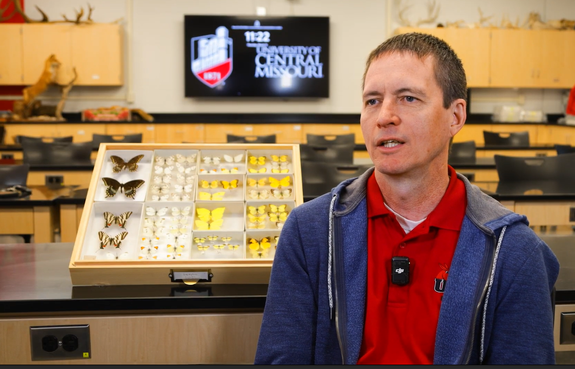 Dr. Marschalek in his lab with butterflies in case beside him.