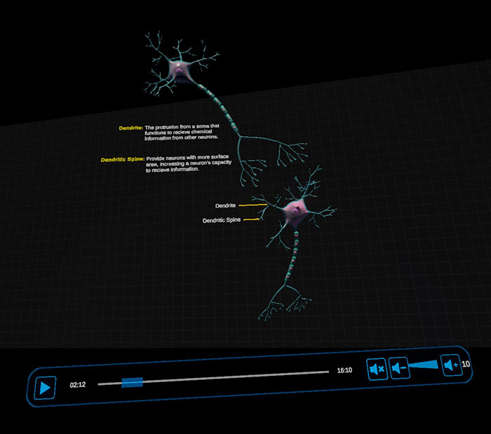 SimViewer of a neuron using Curio XR