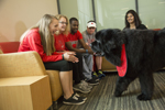 group of students interacting with service dog