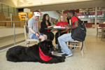 students sitting in Student Recreation and Wellness Center with service dog